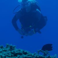 Samuel Todd Photo 19