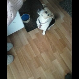 Joyce Simmons Photo 26