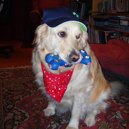 Nellie Butcher Photo 1