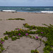 John Vines Photo 19