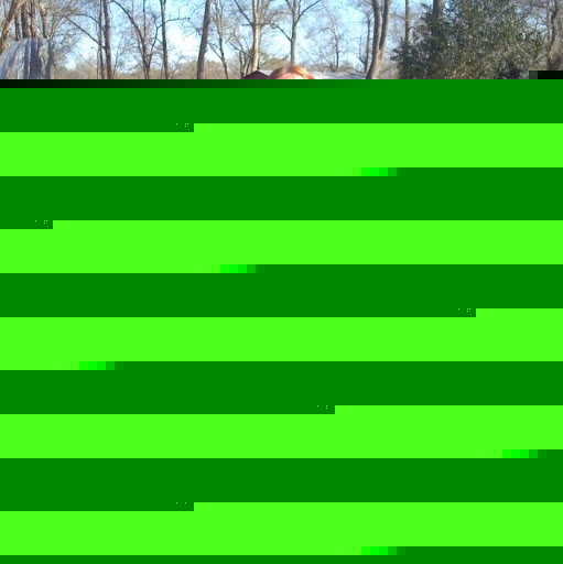 Robin Reese Photo 16