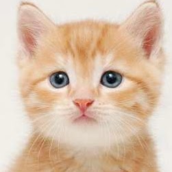 Margie Howell Photo 8