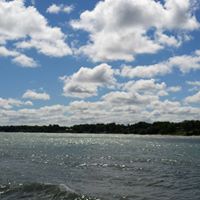 Anne King Photo 17