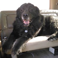 Richard Olson Photo 61 Richard Olson Photo 61