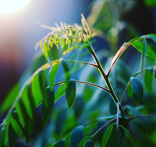 Pamela Lynch Photo 35