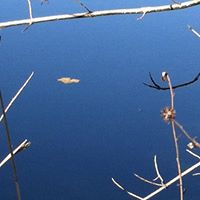 Melissa Grayson Photo 40