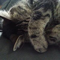 Anna Christensen Photo 12