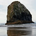 Chris Pollack Photo 26