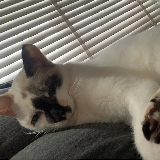 Debbie Lemon Photo 3