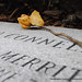Richard Connell Photo 24