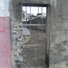 Ching Tang Photo 9