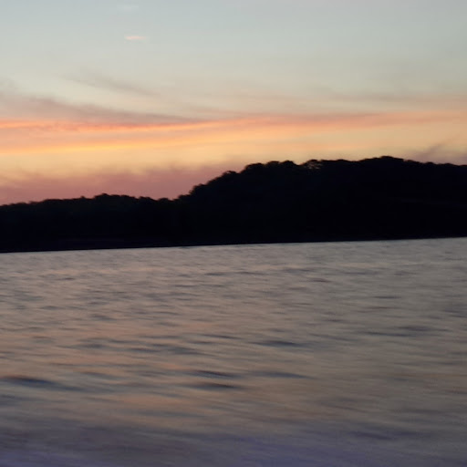 Patrick Ellis Photo 6