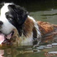 Barry Groves Photo 22