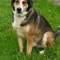 Angela Mackenzie Photo 16