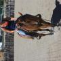 Heather Daniels Photo 35