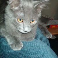 Vicki Vance Photo 32