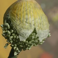 Stacie Walter Photo 25