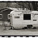 Annette Cook Photo 16