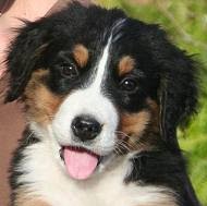 Julia Phipps Photo 16