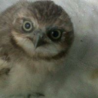 Angela Schofield Photo 18