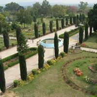 Iram Bhatti Photo 17