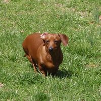 Jeanette Mcdaniel Photo 12