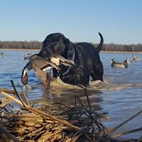 Brian Perdue Photo 21
