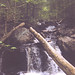 Shirley Brooks Photo 25