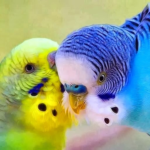 Karen Piper Photo 30