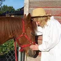 Linda Wright Photo 19