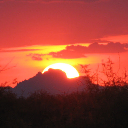 Bill Riddle Photo 40