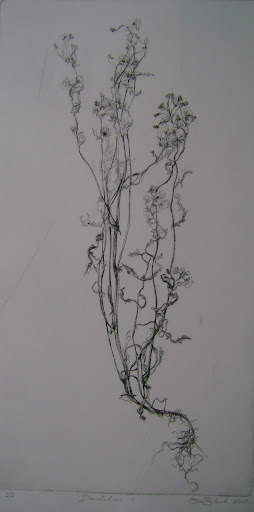 Tracey Black Photo 23