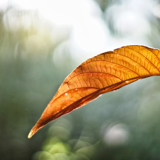 Nicholas Lancaster Photo 25