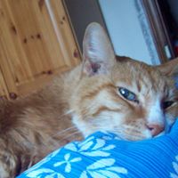 Sarah Duffy Photo 17 Sarah Duffy Photo 17