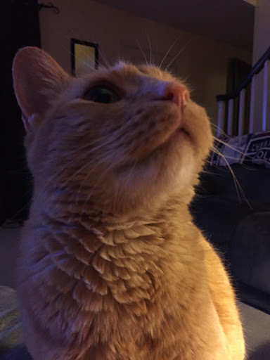 Christine Pinto Photo 11