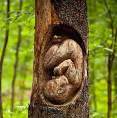 Sarah Chase Photo 19