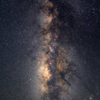 David Zeigler Photo 27