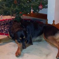 Janet Mccune Photo 7