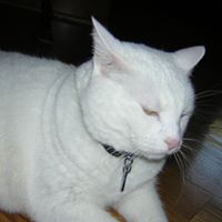 Catherine Blanchard Photo 33