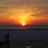 Diane Rogers Photo 5