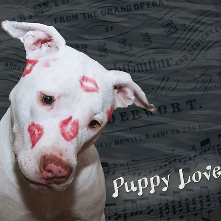 Rebecca Mayfield Photo 14