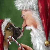 Cynthia Carey Photo 12 Cynthia Carey Photo 12