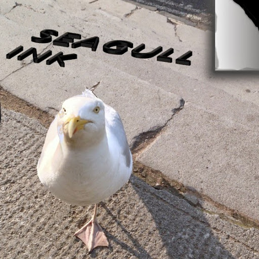 Jill Campbell Photo 28 Jill Campbell Photo 28