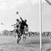 Harold Klein Photo 18