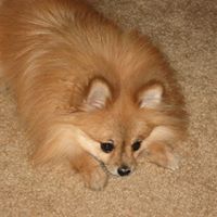 Teresa Burnett Photo 14