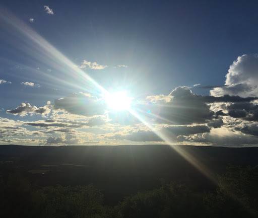 Sandy Brannon Photo 7