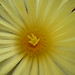 Flora Bishop Photo 8