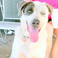 Janet Mckeown Photo 12