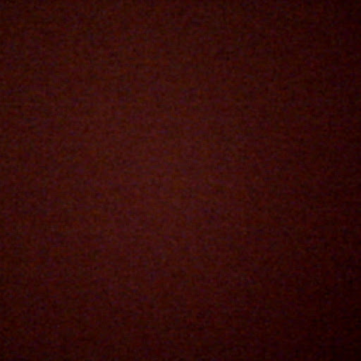 Martha Molloy Photo 6