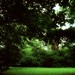 Jerome Rainer Photo 6